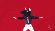 No Good Nfl GIF by Houston Texans