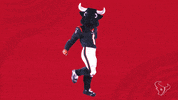 Dance Dancing GIF by Houston Texans