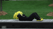 Wu_Shock college wu wsu collegelife GIF