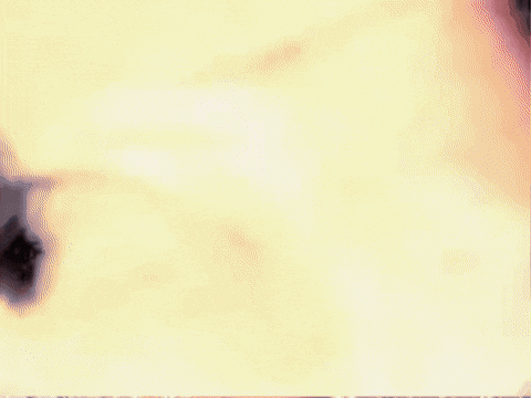 giphy.gif