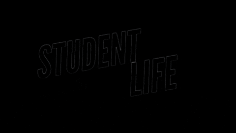 Student Life Tennessee GIF by livelifesparta