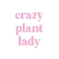 Pink Mom Sticker