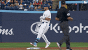 Celebrate Blue Jays GIF by Toronto Blue Jays