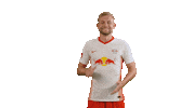 Come On Football Sticker by RB Leipzig