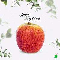 ColdStorage creative apple tips newzealand GIF