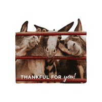 Horserescue Sticker by All Seated in a Barn