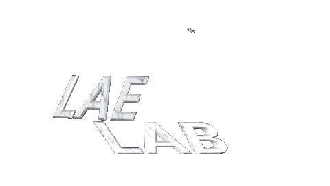 laelab giphyupload clothing lab kleidung GIF