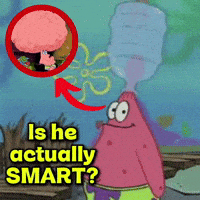 Dumb Patrick GIF