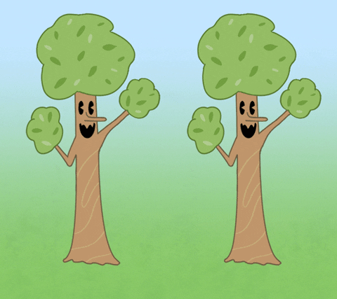 mango tree type