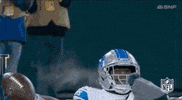 Detroit Lions Football GIF by NFL