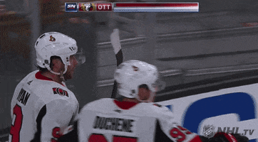 happy ice hockey GIF by NHL