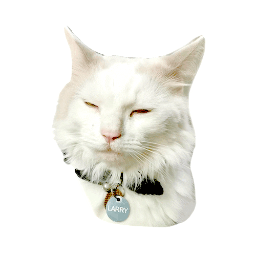 IXSERA cat larry bolts eb Sticker