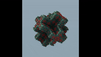 Art Morphing GIF