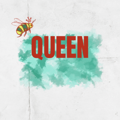 Avallenspirits queen drinks bee bees GIF
