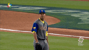 Sport Celebration GIF by MLB Network