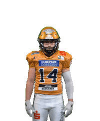 Football Sport Sticker by Dresden Monarchs