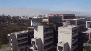 UCSanDiego ucsd public art uc san diego fallen star GIF
