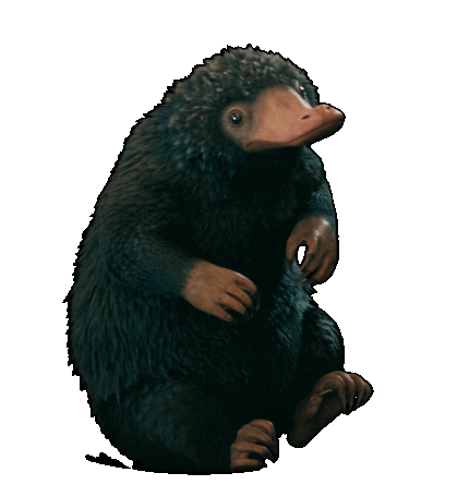 fantasticbeastsjapan giphyupload テディ ファンタスティックビースト ファンタビ Sticker