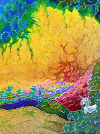 Unicorn GIF by The LSD Hotel