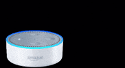 fergiedesign dot echo fergie alexa GIF