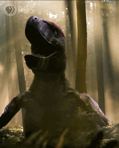 Walking With Dinosaurs Dinosaur GIF by PBS