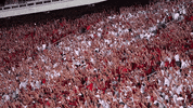 College Football Hogs GIF by Arkansas Razorbacks