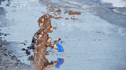 video art glitch GIF by Sabato Visconti