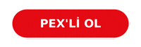 Real Estate Logo Sticker by Pex Realty