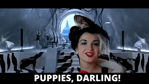 QueercalComhra giphyupload puppies irish gaeilge GIF