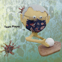 Washington Nationals Baseball GIF