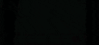 chance GIF