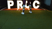 Softball Juco GIF by Pearl River Athletics