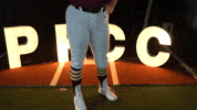 Softball Juco GIF by Pearl River Athletics