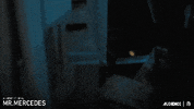 stephen king basement GIF by Mr. Mercedes