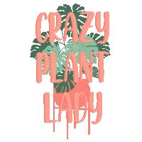 Plants Monstera Sticker
