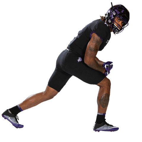 texas austin Sticker by TCU Football