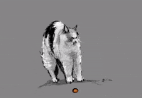 SkytraH cat meme fire attack GIF