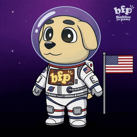Bonk Usa Flag GIF by Buddies for Paws