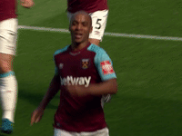premier league epl GIF by West Ham United