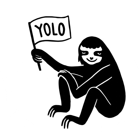 Yolo GIF by Laurène Boglio