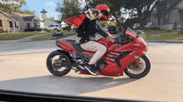 Corgi With Cape and Goggles Loves Motorcycle Rides