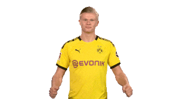 Happy Football Sticker by Bundesliga