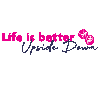 Ad Pd Sticker by Pole & Aerial Divas