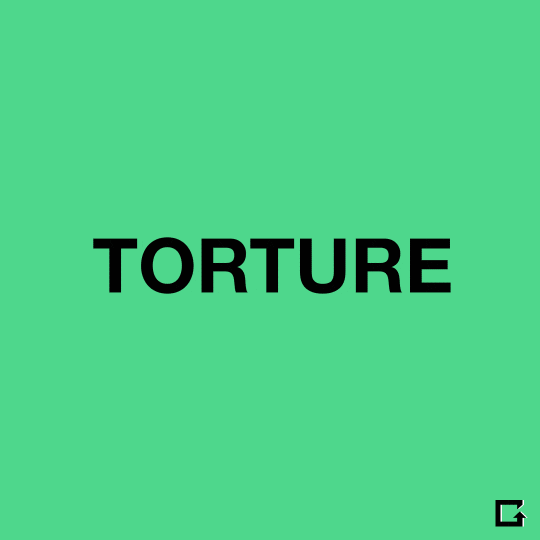 bush torture GIF by gifnews