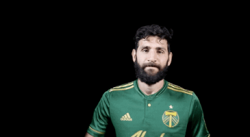 portland timbers soccer GIF by Timbers