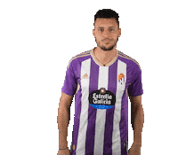 Football Soccer Sticker by Real Valladolid