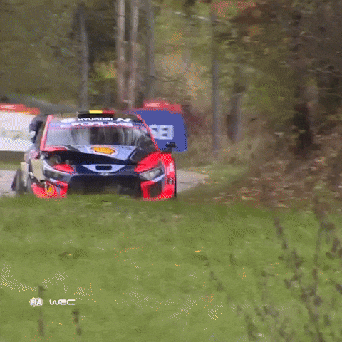 Speeding No Problem GIF by FIA World Rally Championship