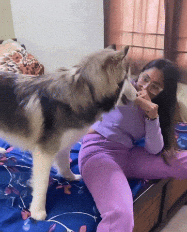 Sreethukrishnan GIF