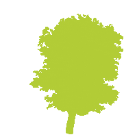 ReforestamosMX arbol reforestamos Sticker