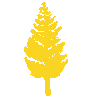 ReforestamosMX arbol reforestamos Sticker